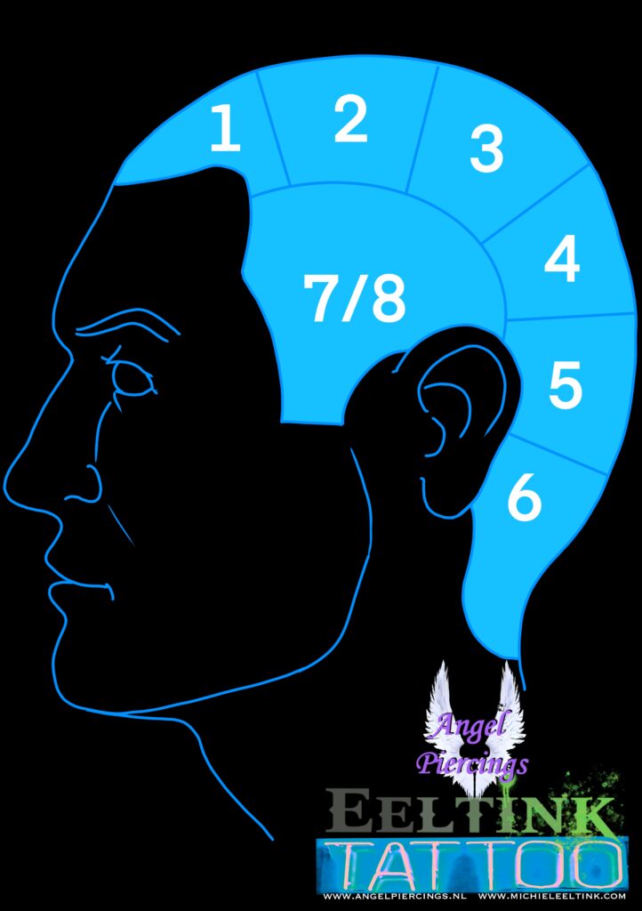 haarzones haarpigmentatie tattoo